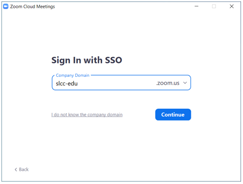 Image of the Single Sign On domain page.